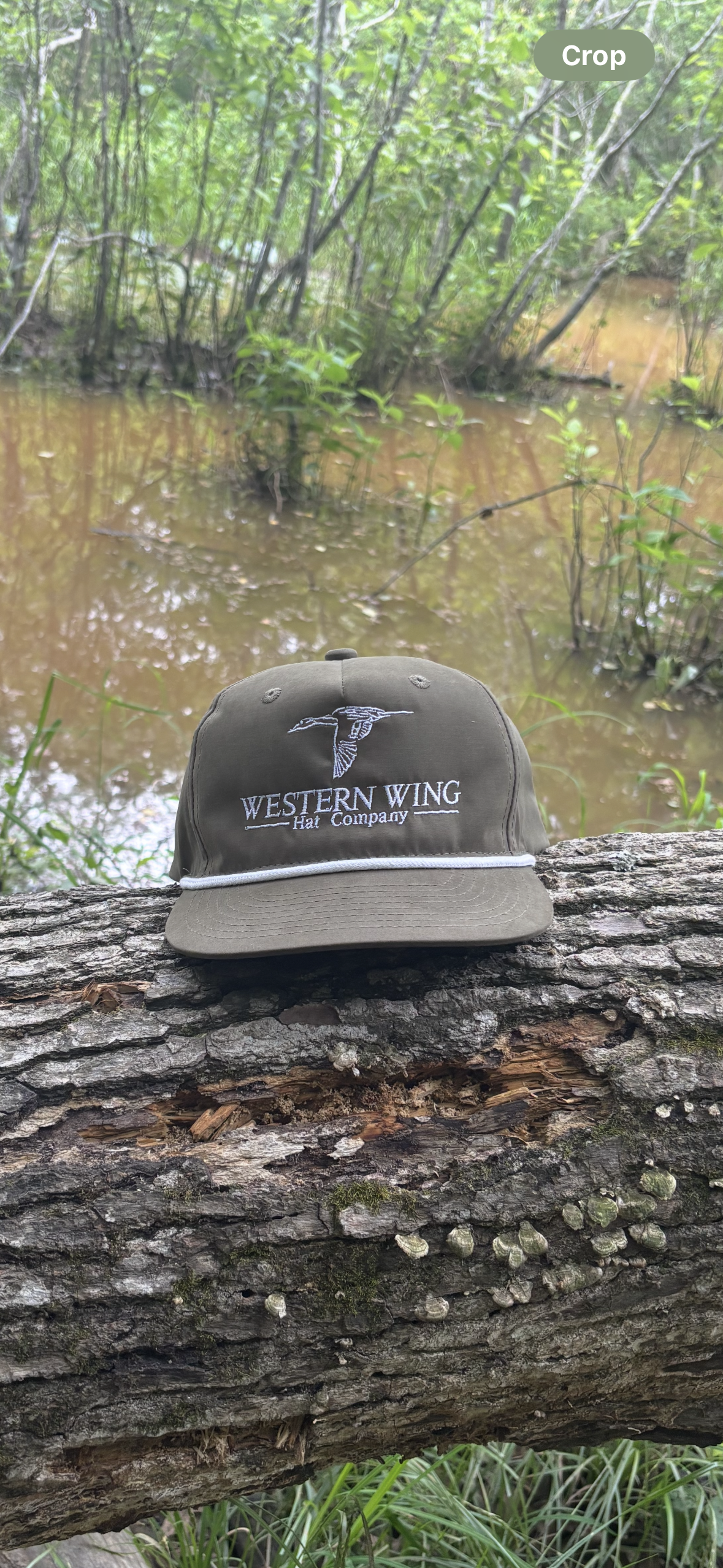 Sprig-Olive