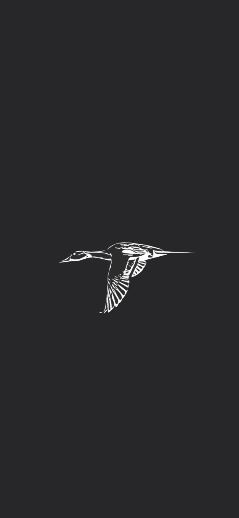 White outline of a duck flying on a black background